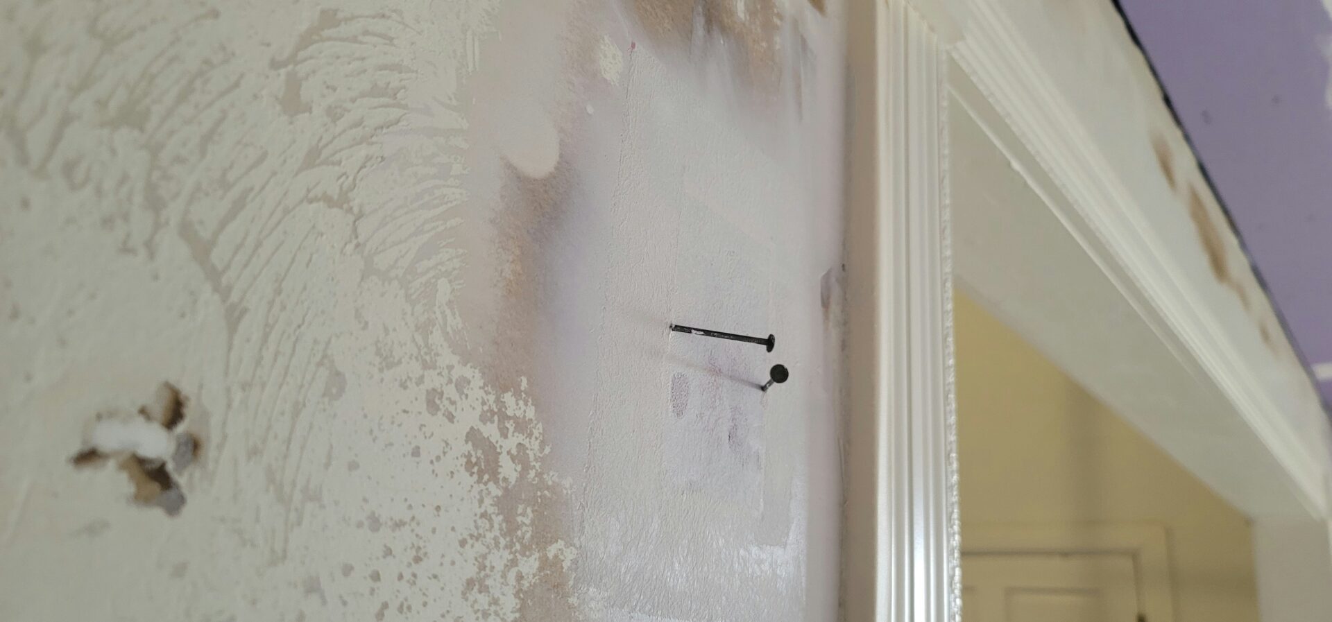 arctic restoration mold damage