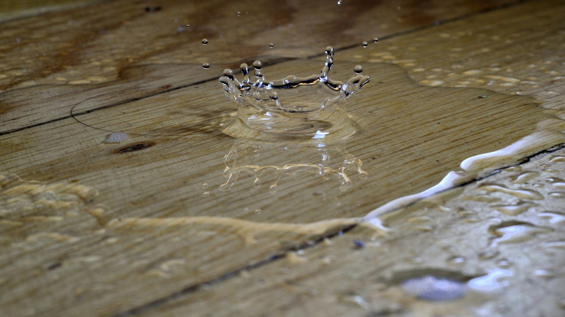 arctic restoration water damage
