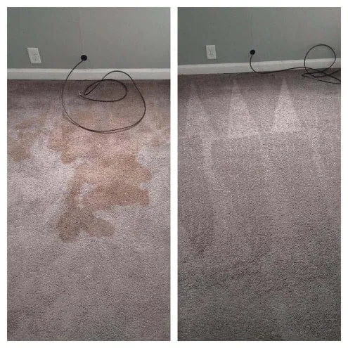 before after carpet cleaning service in wasilla alaska