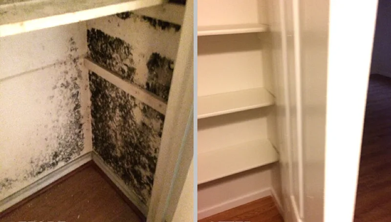 closet corner with mold before and after remediation