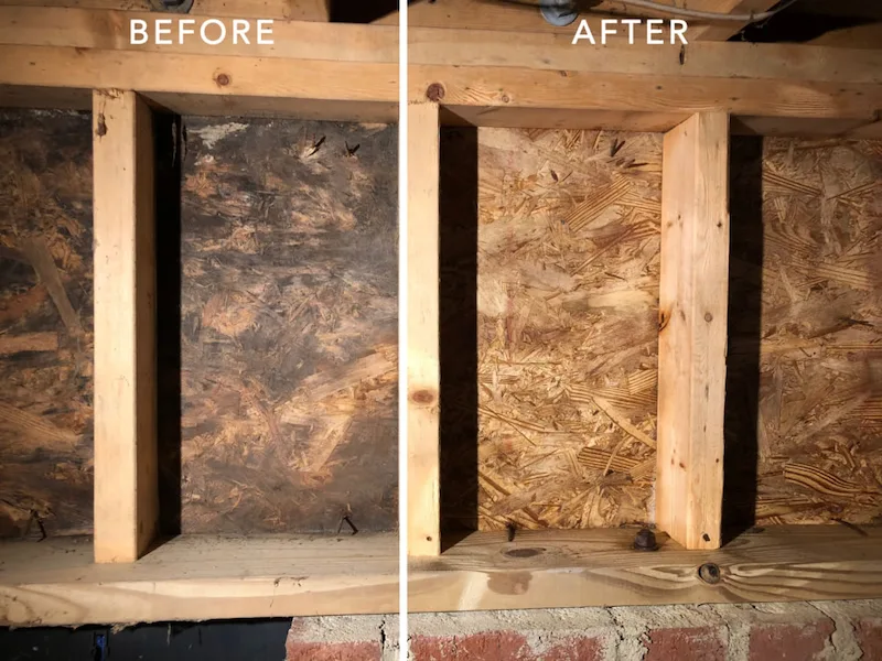 crawlspace mold on wood removed and area restored