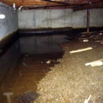 flooded crawlspace with standing water reflecting basement structures