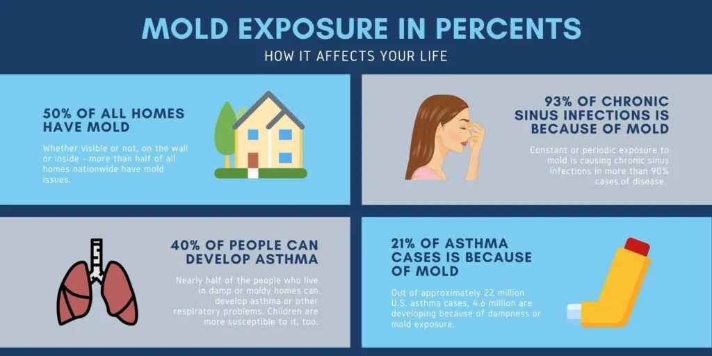 mold exposure stats infographic