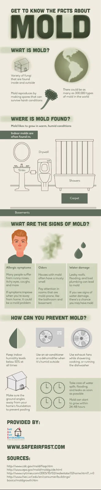 mold prevention infographic