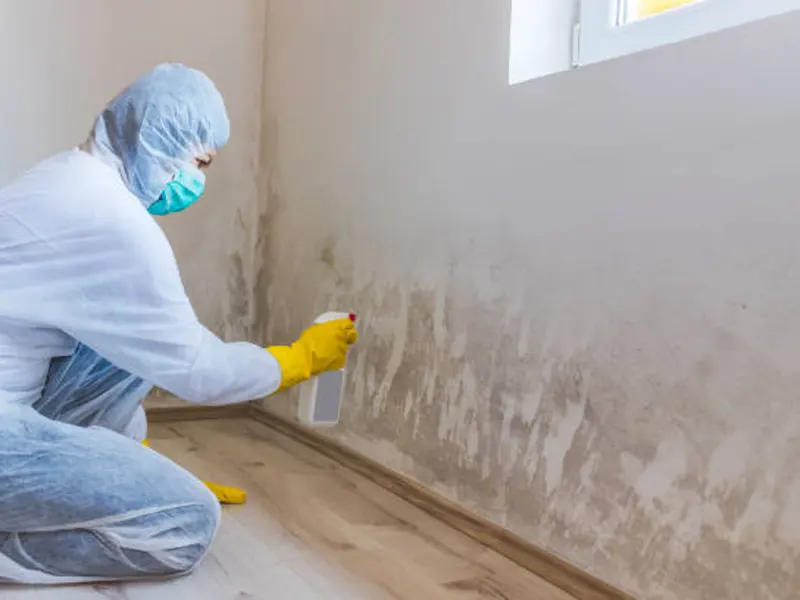 person protective suit mask gloves conducting mold remediation on wall.