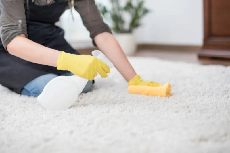 property manager blotting up stain on white carpet