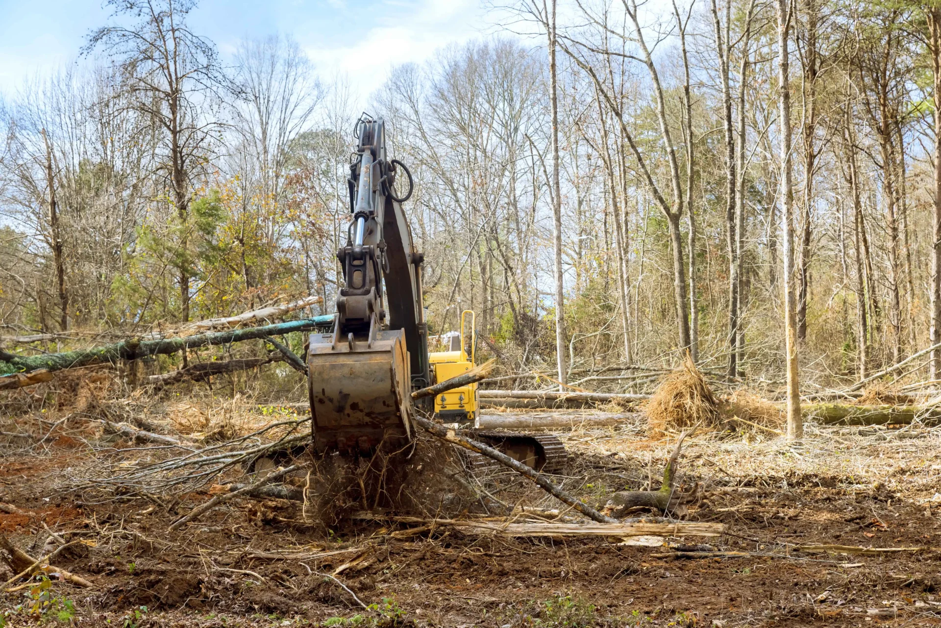 with aid of an excavator worker is removing trees 2025 03 27 03 29 17 utc 1